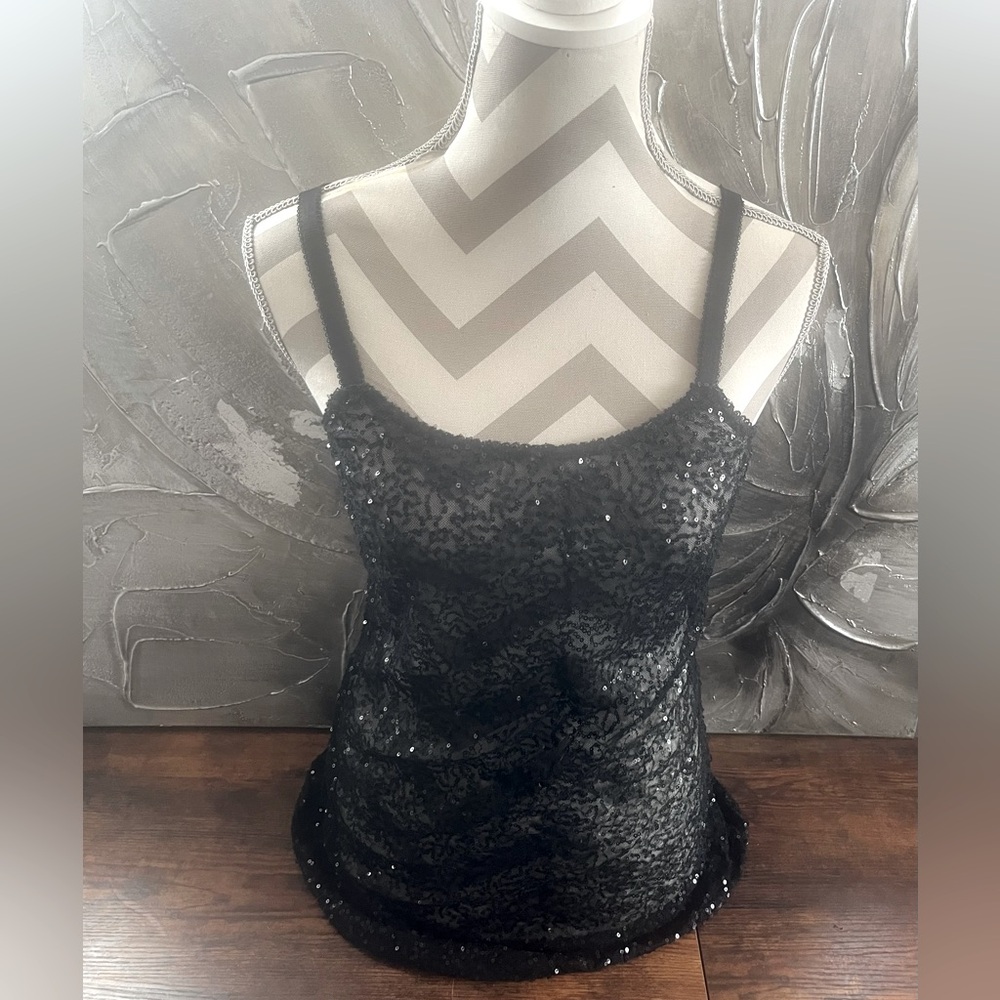 Gorgeous Sheer Vintage Sequin Top, Lingerie, Long Top, Mini‎ Dress, or Négligée